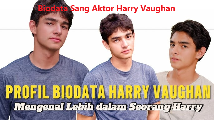 biodata harry vaughan